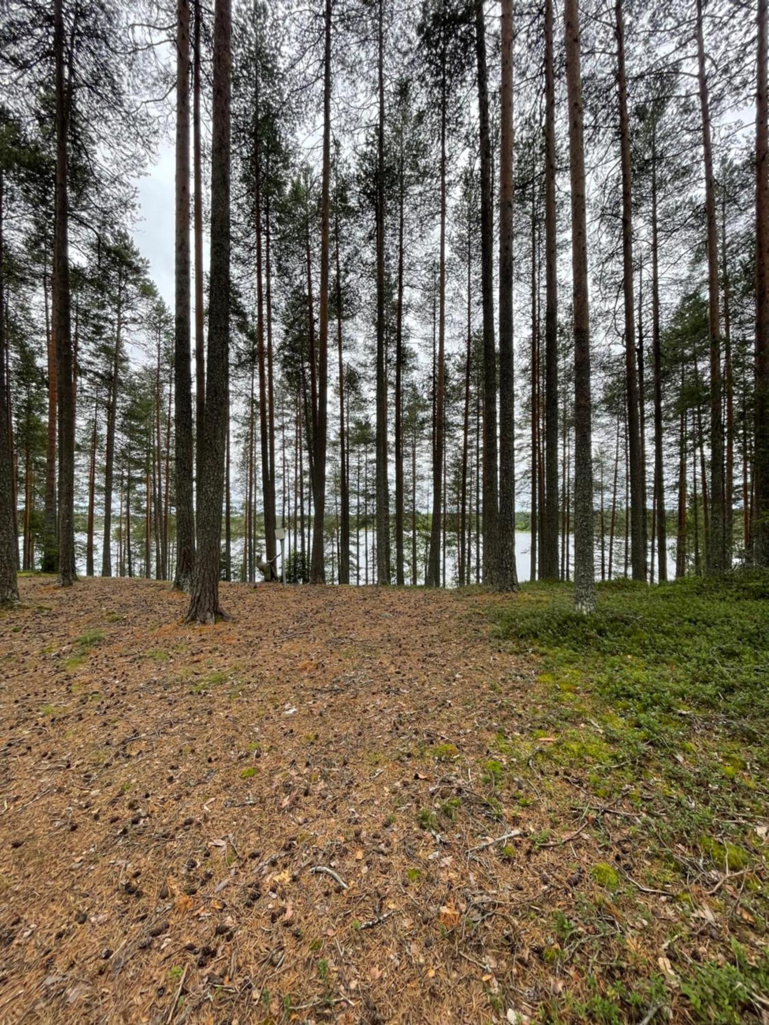 Laahtanen Camping Ристиярви Экстерьер фото
